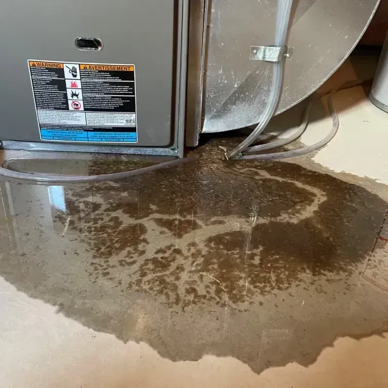 Appliance Leak Cleanup in Windsor, CA